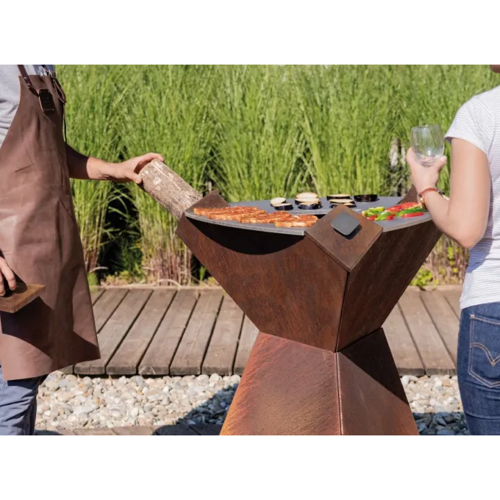 Plancha au feu de bois origine - grillades et barbecue - Ersho